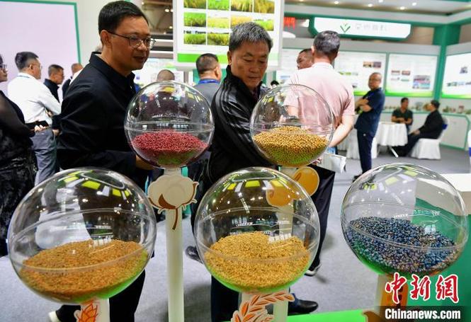聚焦种业创新，共谋产业未来——第十六届中国国际种业博览会技术咨询侧记